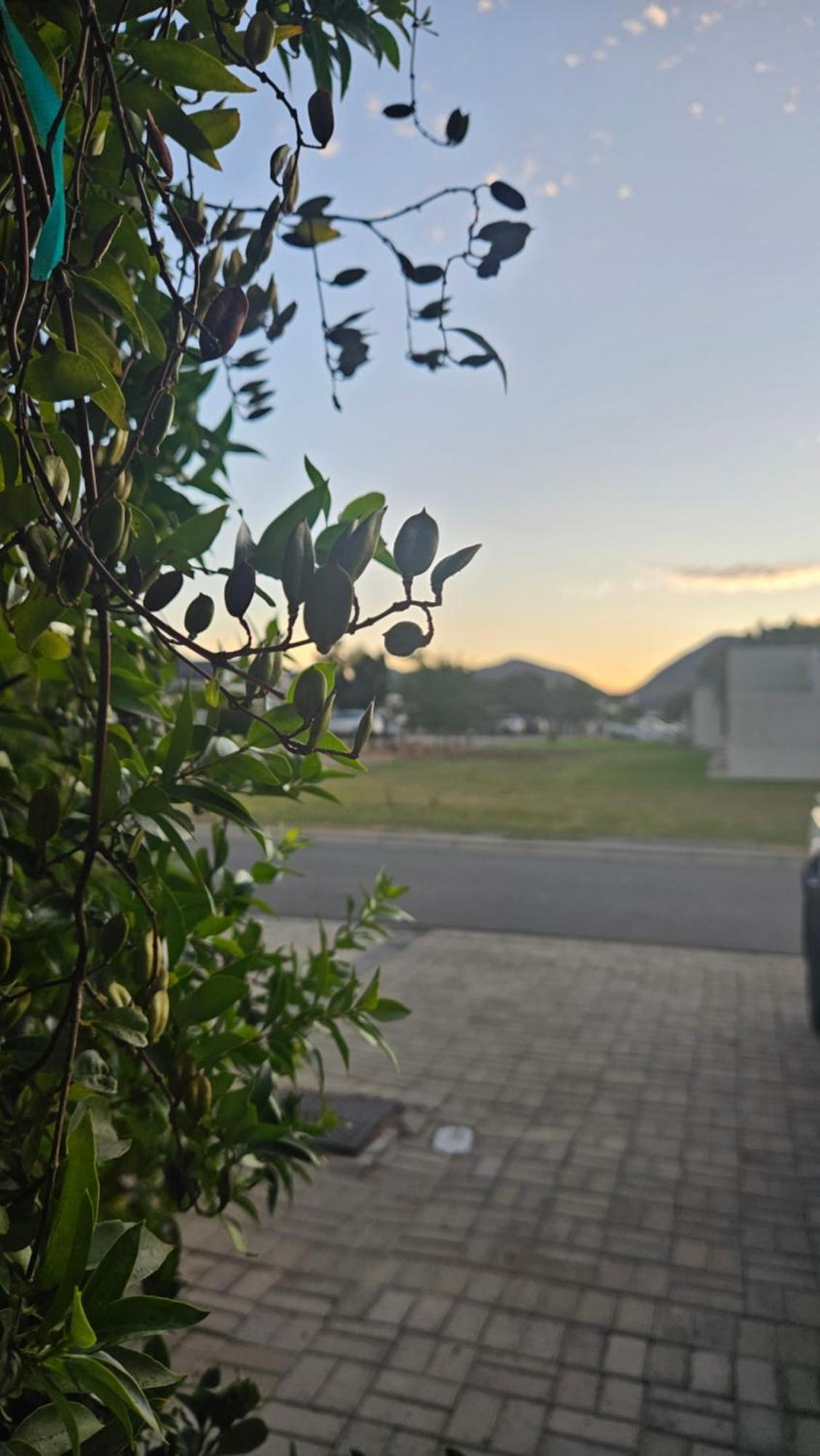 Lily'S Rest, Village On Silwerstrand, Robertson Buitenkant foto